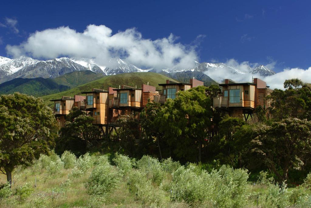 Hapuku Lodge & Tree Houses Exterior foto